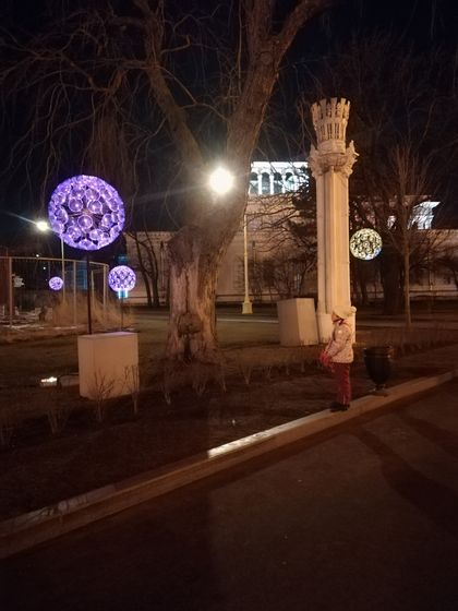 Каток на ВДНХ