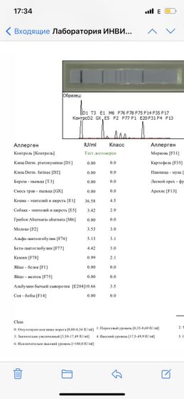 Возможно ли перерасти аллергию на кошек?