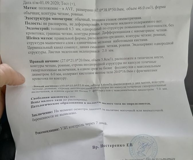 Каков шанс того что
