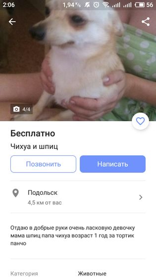 Какой ужас ?
