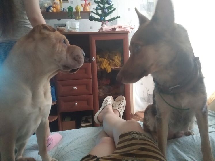 Мой плюха Стич