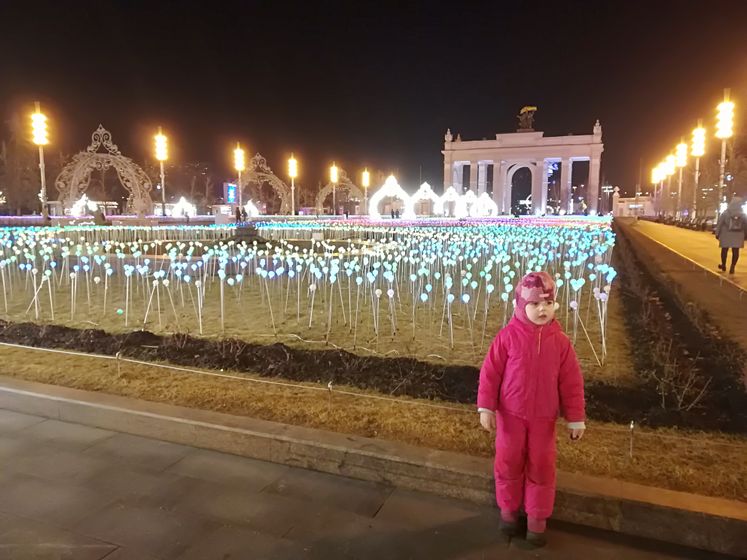 Каток на ВДНХ