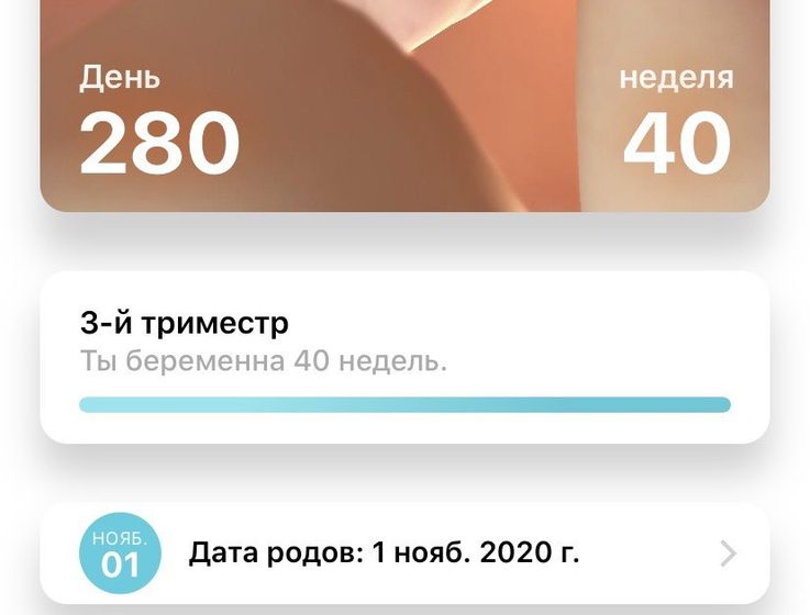 Тишина ?