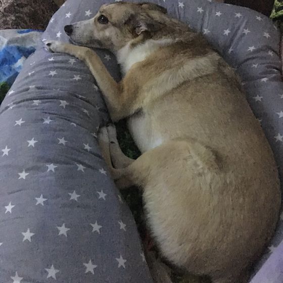 Подушка для беременных