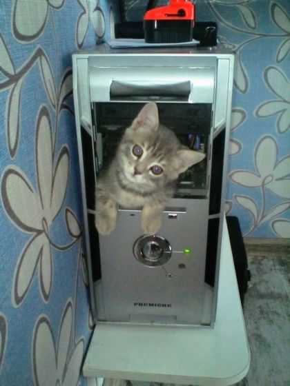Мой ДР