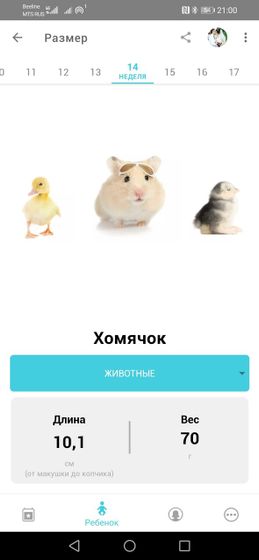 14 неделек ❤