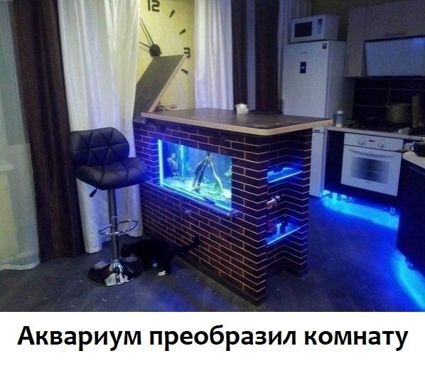 Аквариум.