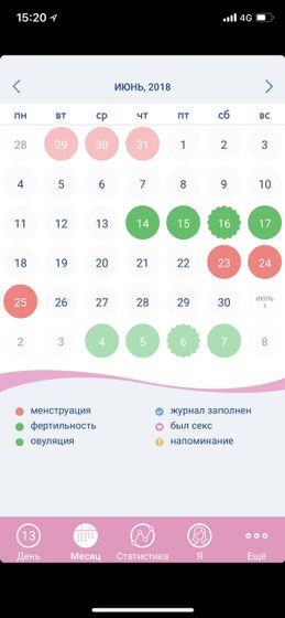 Девочки, кто знает это прога как называется?