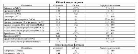 Девочки вчера кровь у