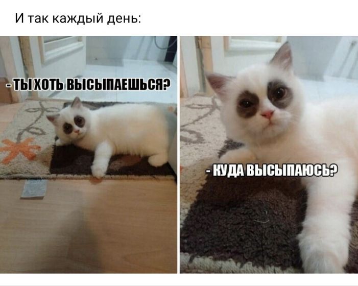 Какой рос и вес