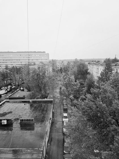 20 дней