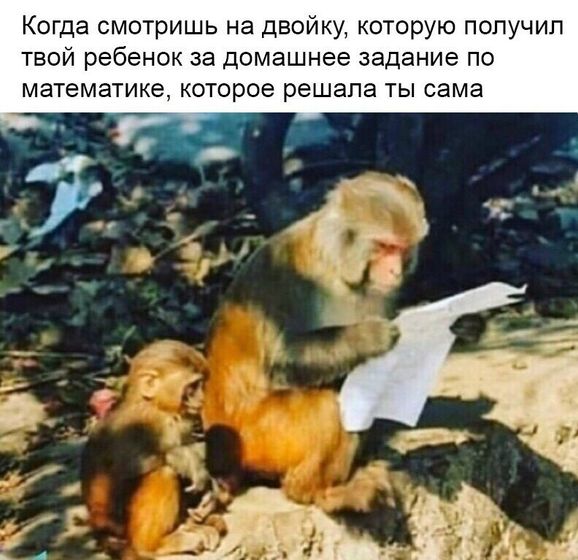 Многих это ждёт ?