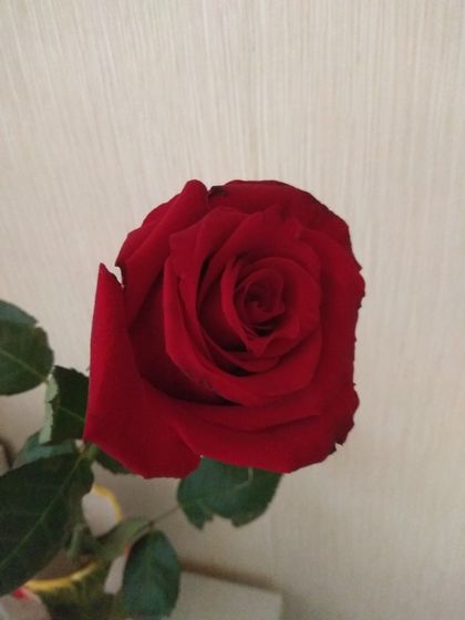 Сняли пессарий.