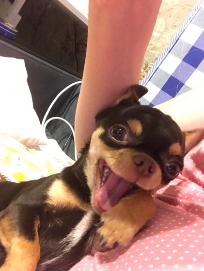 Привет от Семушки 🐶😊