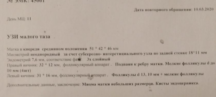 УЗИ малого таза