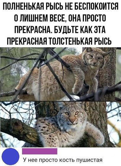 Для худеющих