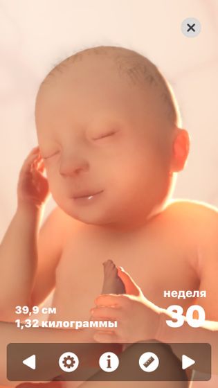 30 неделя