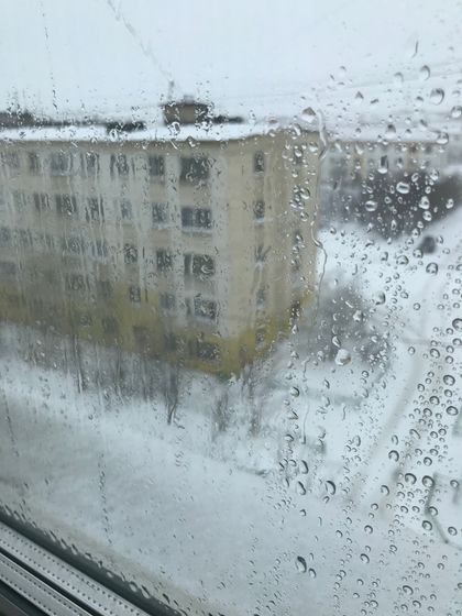 Это север, детка!)