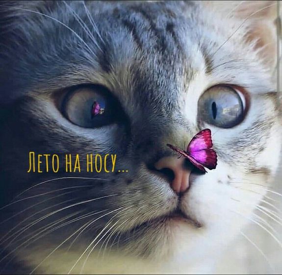 Лето на носу🌷🌿🐞🦋