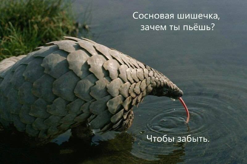 Ещё...))))