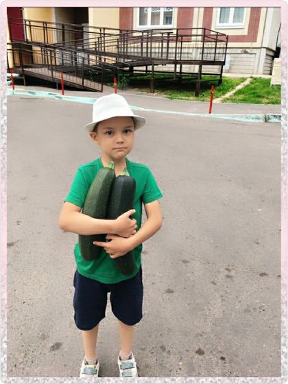 Наш первый урожай кабачков