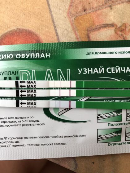 Овуляция