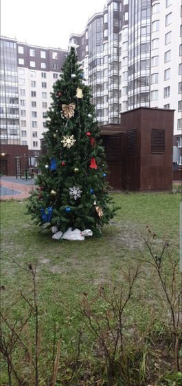 Месяцы, перестаньте меняться местами!