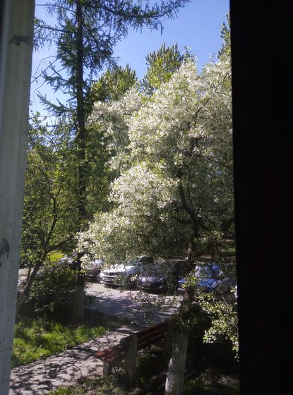 Дашкино утро 🌞