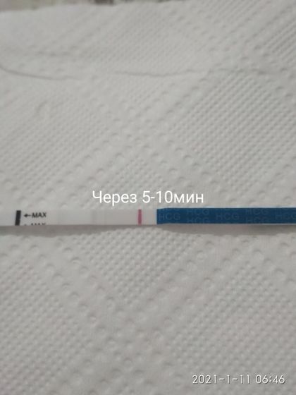 9дпо