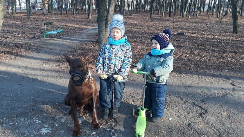 Зима ау)