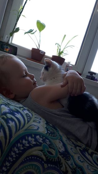 Ребенок и котенок