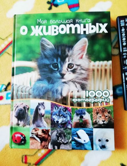 Ну и моя любовь 😍Фото-книга о животных