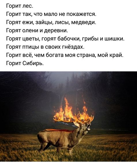 Сибирь((