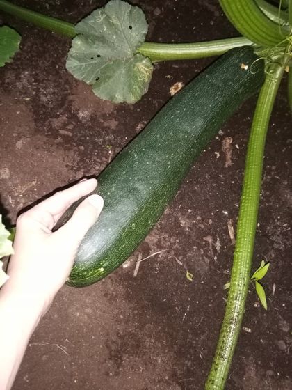 Приветики? Я поняла, куда
