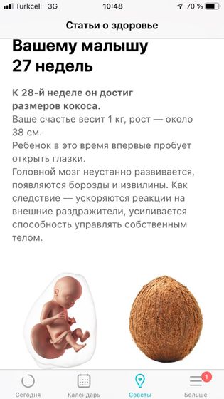 28-я неделя