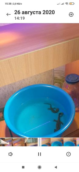 Девочки, подскажите пожалуста у