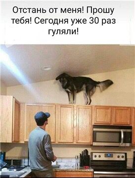 Карантиновый юмор🤪🤣
