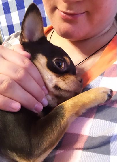 Лапушка мой 🐶
