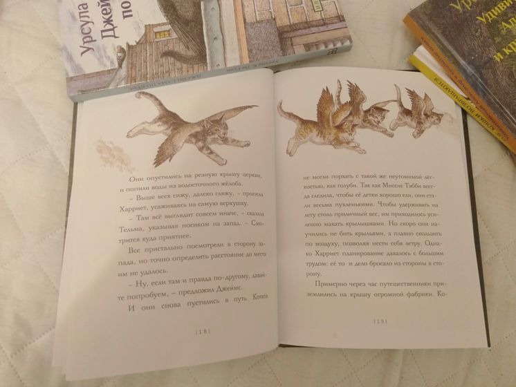 Крылатые кошки Урсулы Ле Гуин (книги)