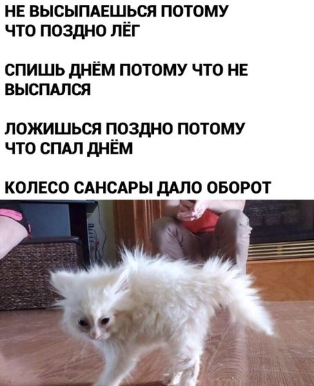 Так и живем)