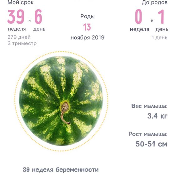 ПДР на 13.11., в режиме ожидания чуда, с этой Б, точно чуда))