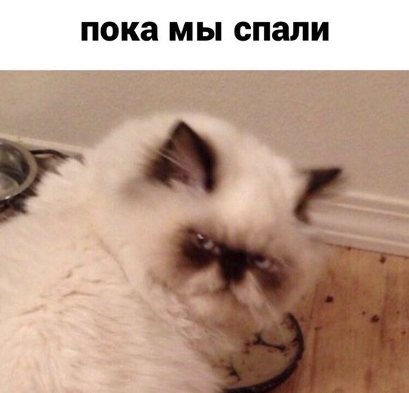 ?