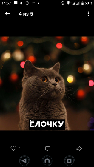 Котопост 🐱 🐱 🐱
