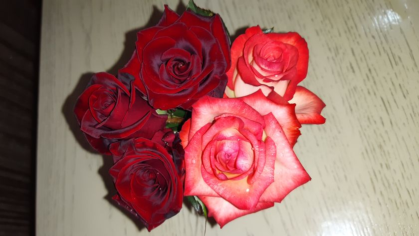 💐