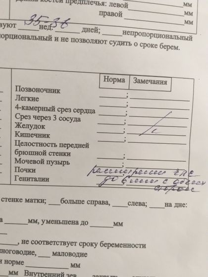 Плохие анализы 35 нед ( узи чашечки лоханки увеличены