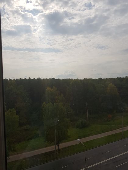 Чудесные выходные?