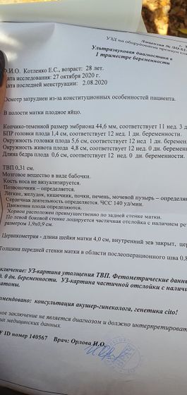 Высокий риск синдрома дауна. Узист сказала без шансов. Носовой кости нет. Шейный воротник огромный. Отслойка,хоть и не кровило …