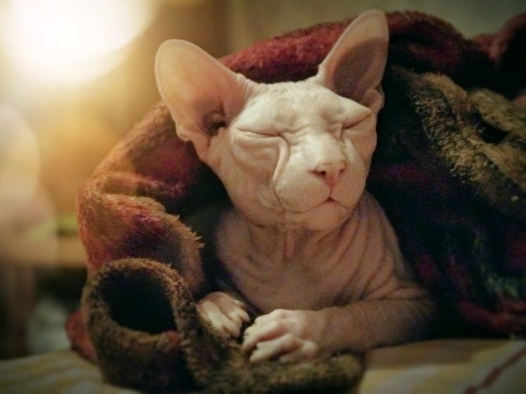 Всем привет!!!😴😴😴
