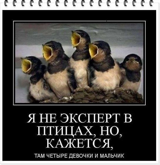 Фотография 2020-07-07 19:38:35