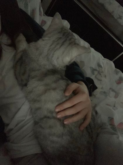 Моя защитница